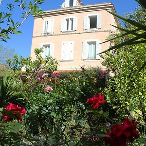 Hôtel Les Palmiers